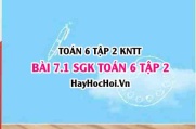 Bài 7.1 SGK Toán 6 tập 2 Kết nối tri thức